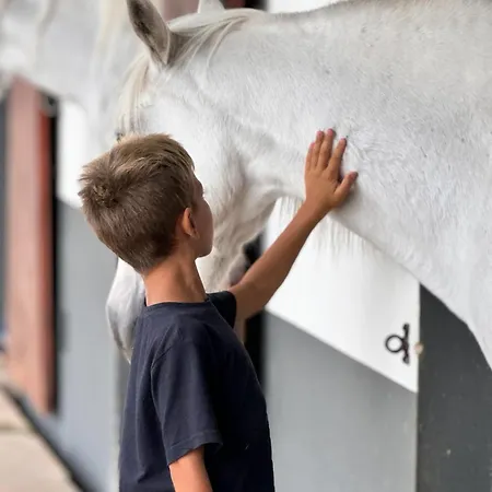 Profetas Гостевой дом *