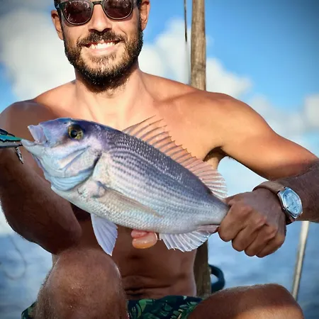 Profetas Pensionat Porto Santo