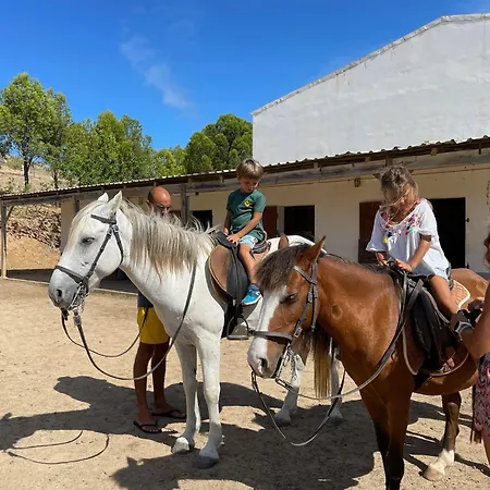 Гостевой дом Profetas Порту-Санту