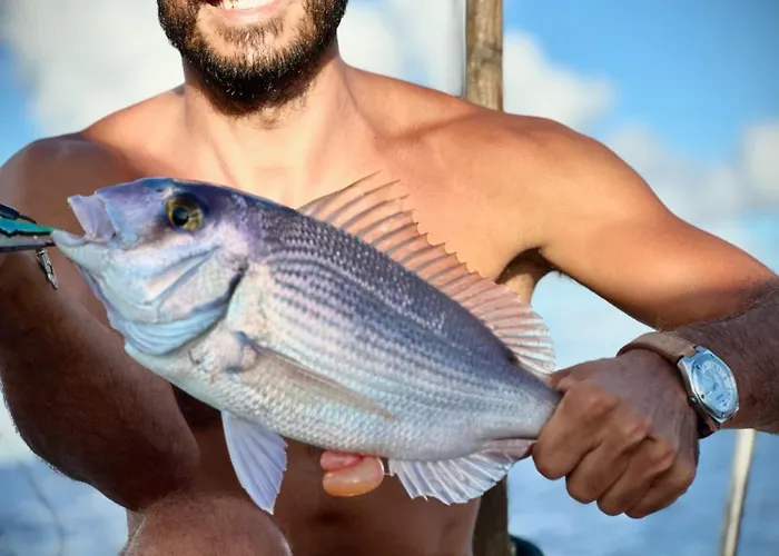 Profetas Guest house Porto Santo