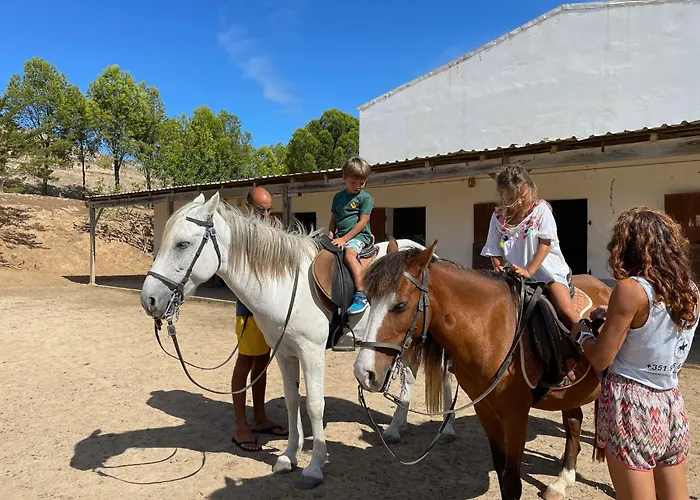 Konukevi Profetas Letterkenny